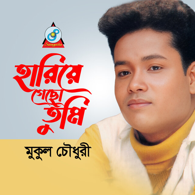 Hariye Gecho Tumi
