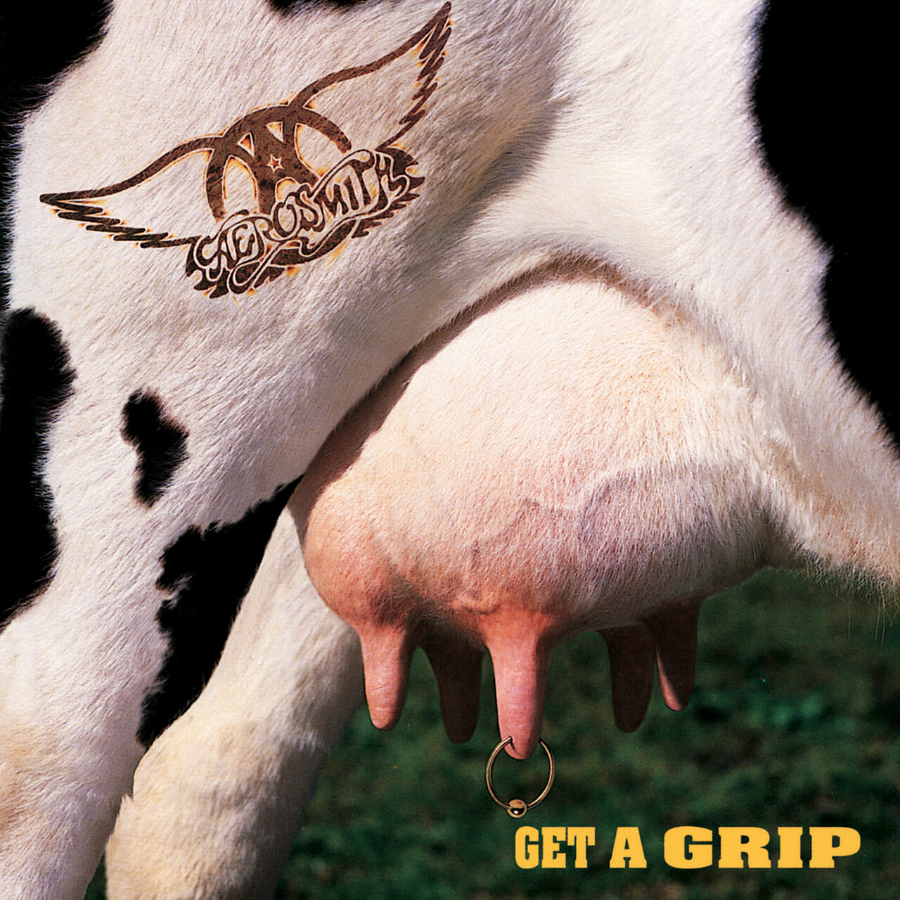 "Get A Grip" by Aerosmith