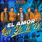 El Amor Que Yo Te Dí