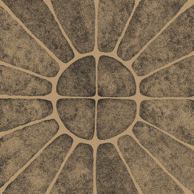 Cover art for album Solarmegin by Bhleg