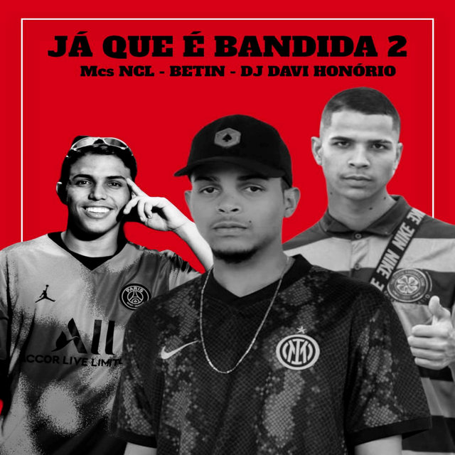 Ja Que É Bandida, Vol. 2