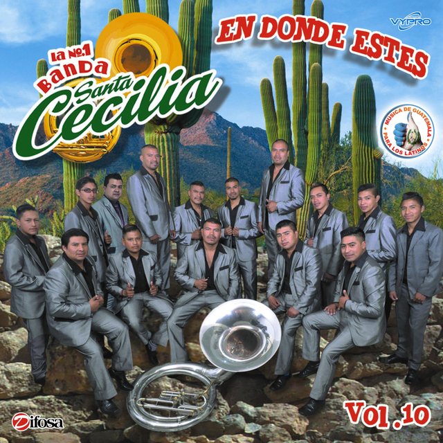 En Donde Estés Vol. 10. Música de Guatemala para los Latinos