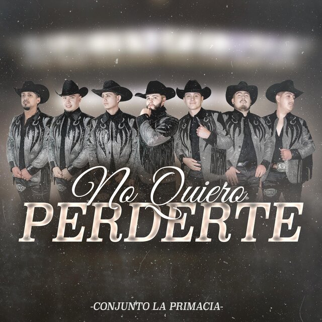 No Quiero Perderte