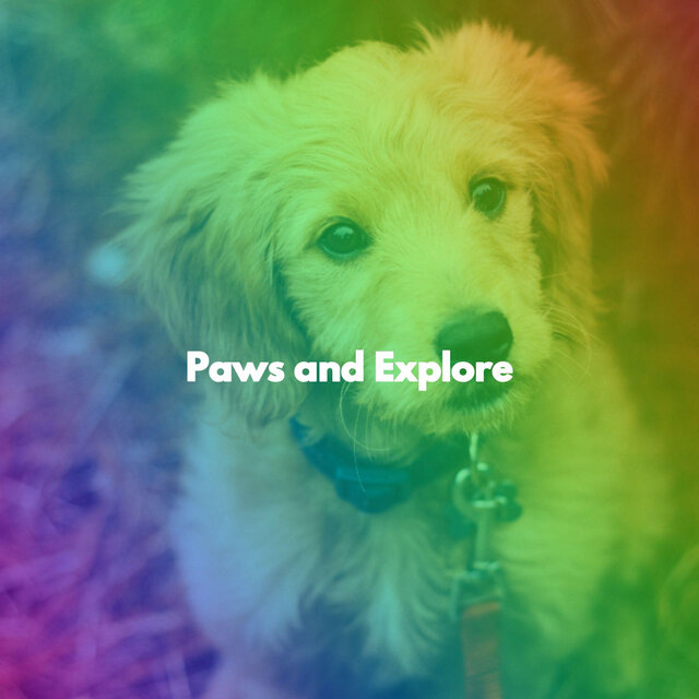 Paws and Explore