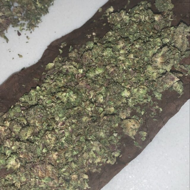 GELATO