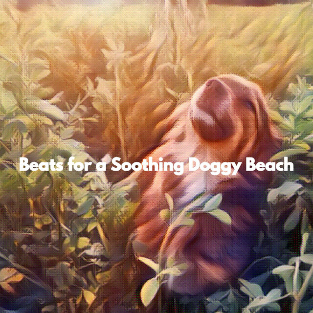 Beats for a Soothing Doggy Beach