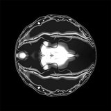Radiantcore