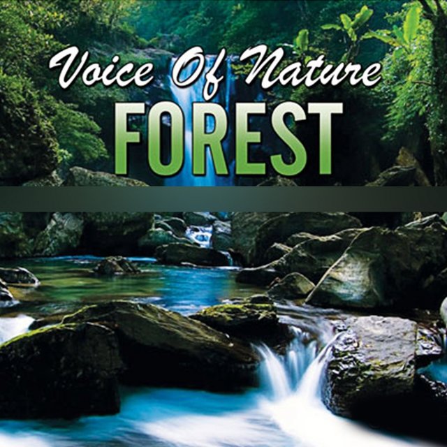 Voice of Nature Forest