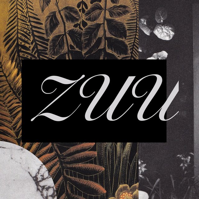 Zuu
