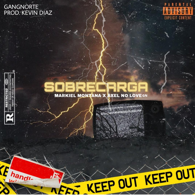 Sobrecarga