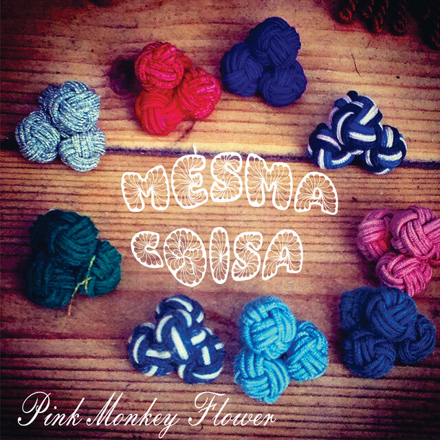 Mesma Coisa