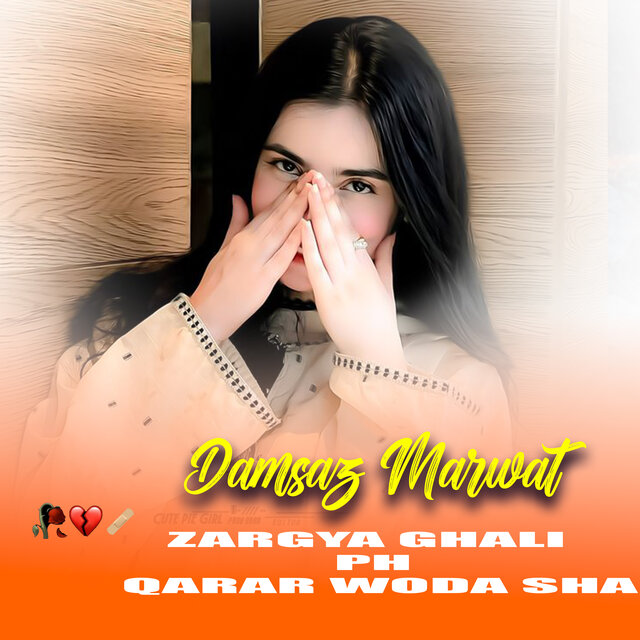 Zargya Ghali Ph Qarar Woda Sha
