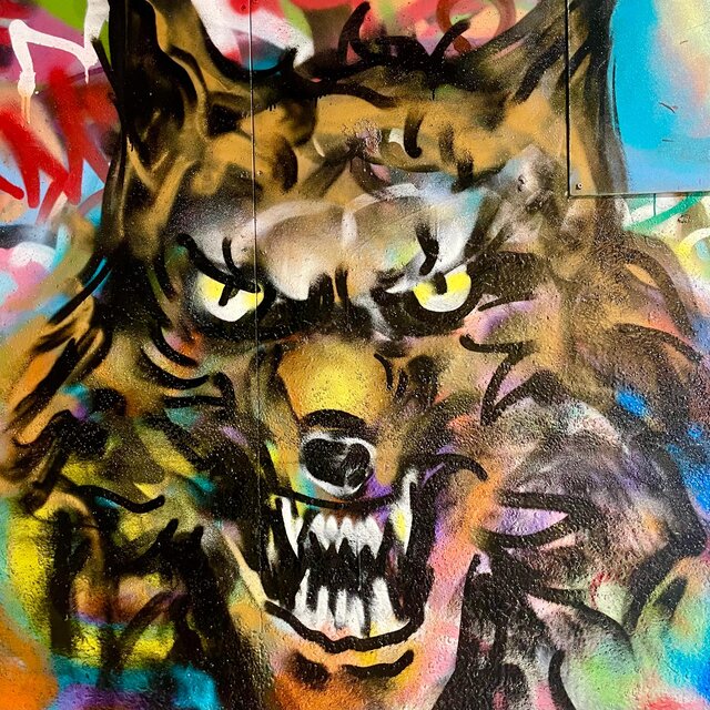 WOLFPACK WZZRDS