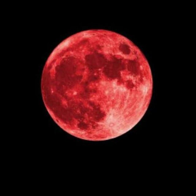 Jacob Black (freestyle)