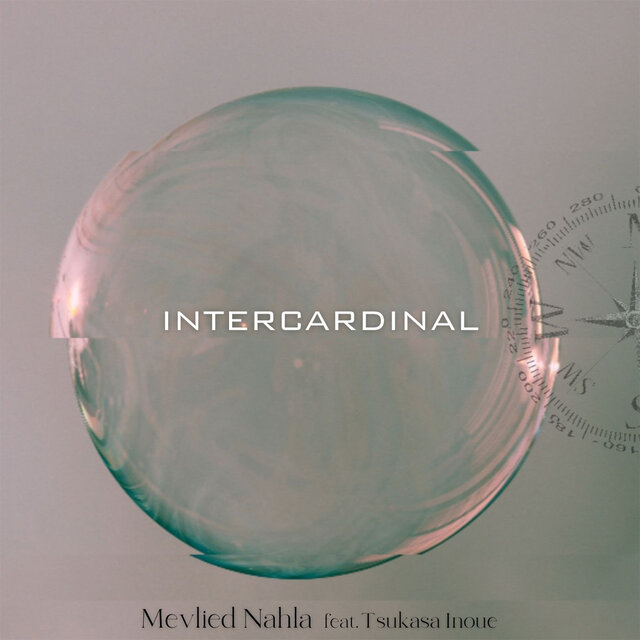 INTERCARDINAL