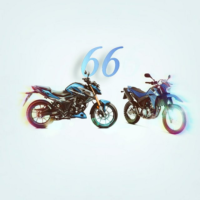 66