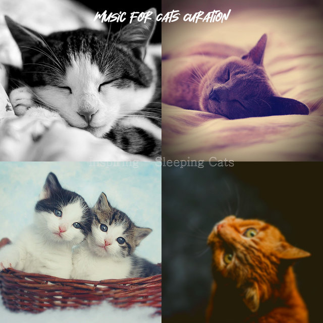 Inspiring - Sleeping Cats