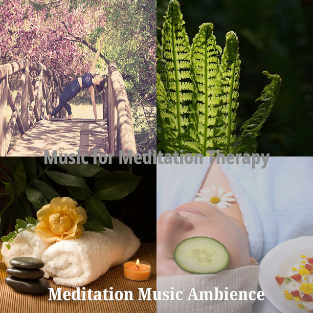 Music for Meditation Therapy