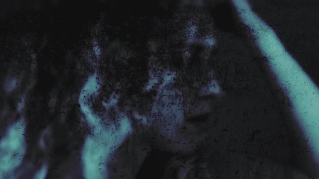Portrait (lyric video)