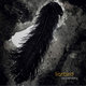 Cover art for album Liarbird by Ola Kvernberg