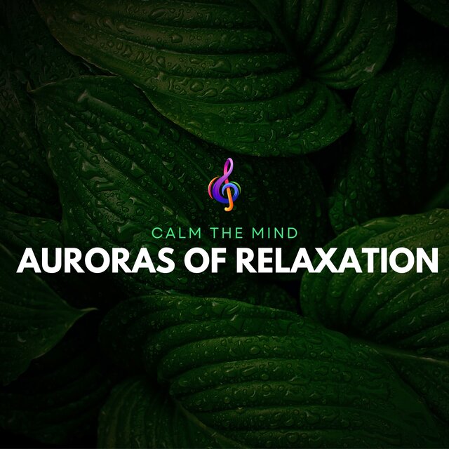 Auroras of Relaxation