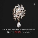 Sonata a 3 in G Major, QV 2:30: IV. Allegro