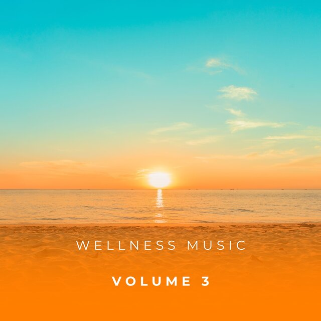 Wellness Music Vol. 3