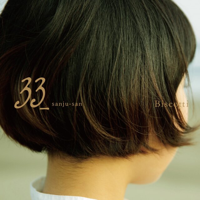 ３３
