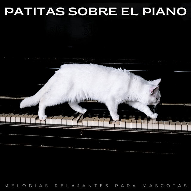Patitas Sobre El Piano: Melodías Relajantes Para Mascotas