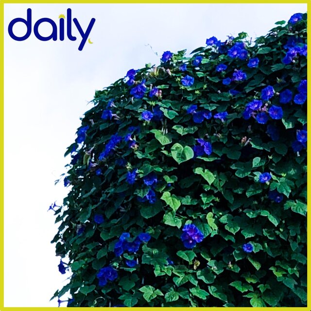 Really 4 U (feat. huey)
