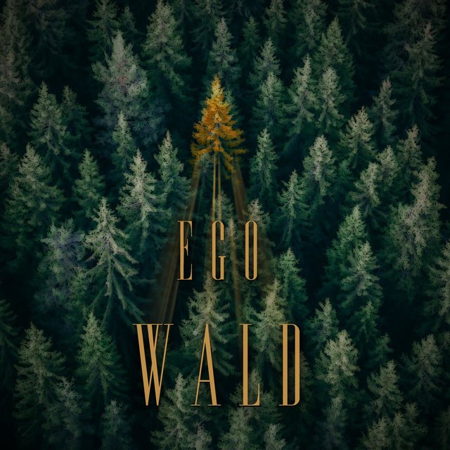 Egowald