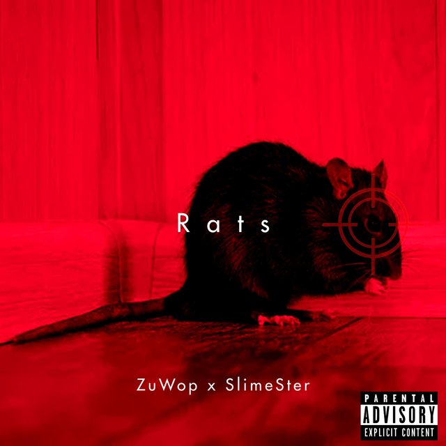 Rats