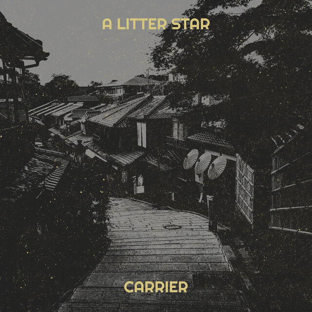A Litter Star