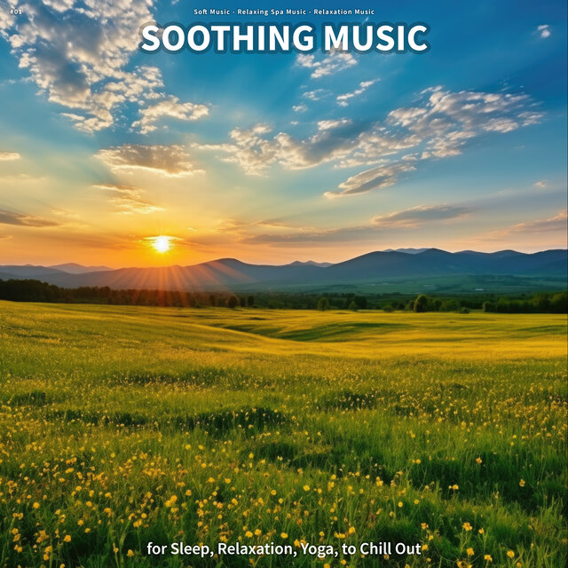 #01 Soothing Music for Sleep, Relaxation, Yoga, to Chill Out