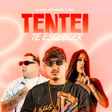Tentei Te Esquecer