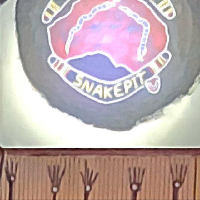 Live At The Snakepit