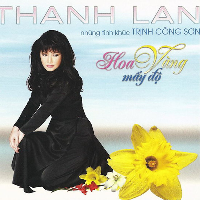 Hoa Vàng Mấy Độ