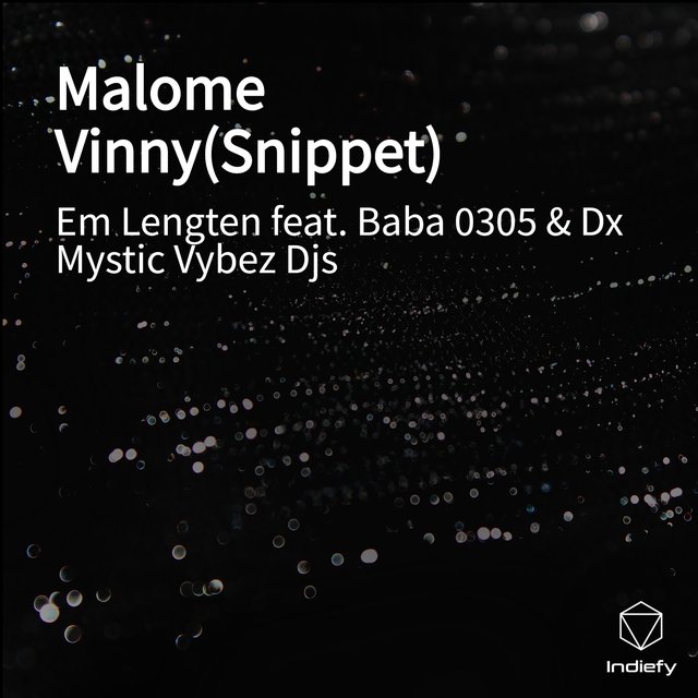 Malome Vinny(Snippet)