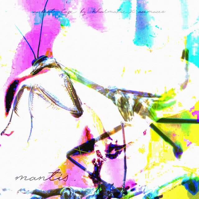 MANTIS BEAT TAPE