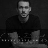 Never Letting Go (feat. Troy Laureta)
