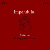 Impendulo