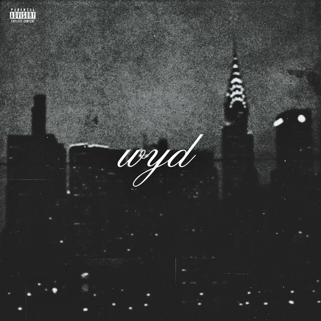 W.Y.D? (What Is We Doing)