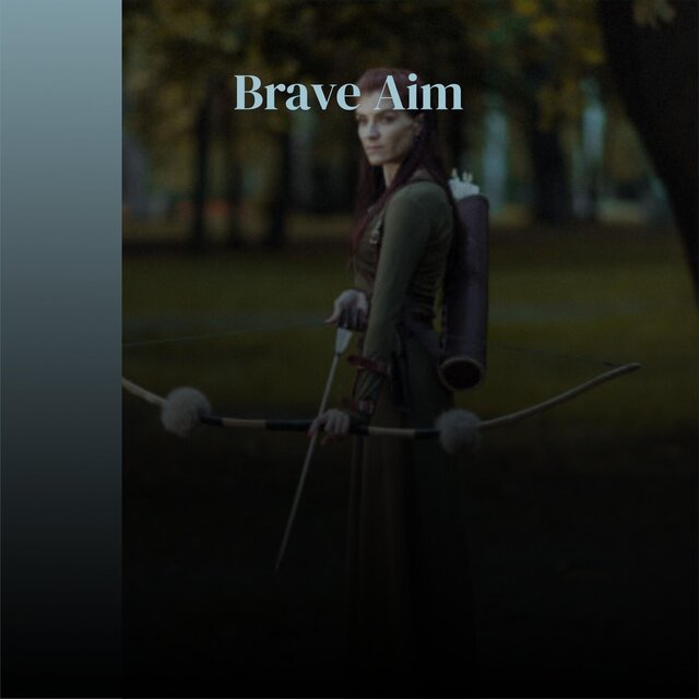 Brave Aim