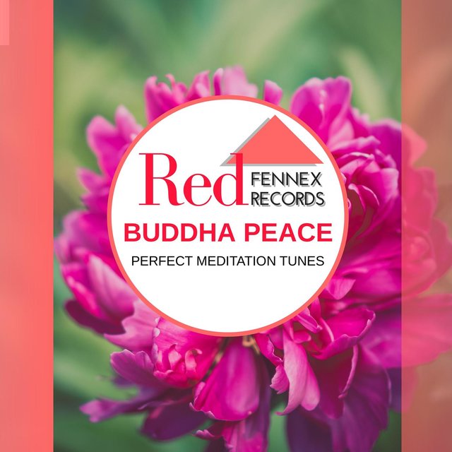 Buddha Peace - Perfect Meditation Tunes