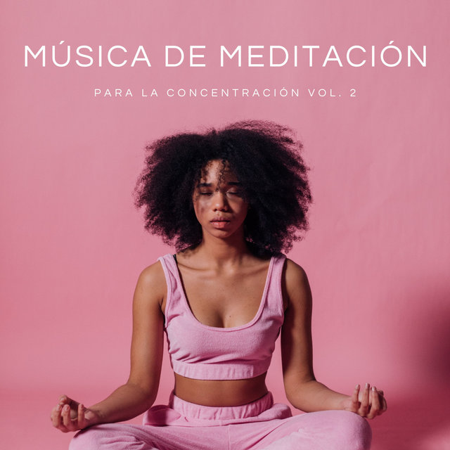 Música De Meditación Para La Concentración Vol. 2