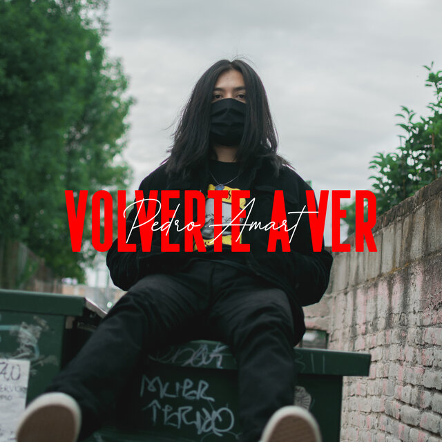 Volverte a ver