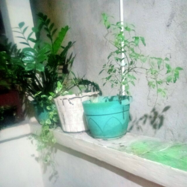 Pandanganku
