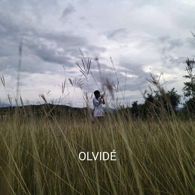 Olvidé