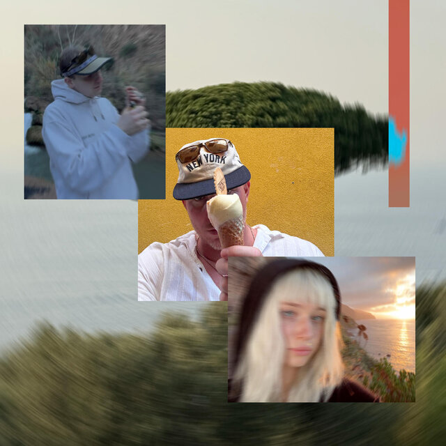 Korony drzew