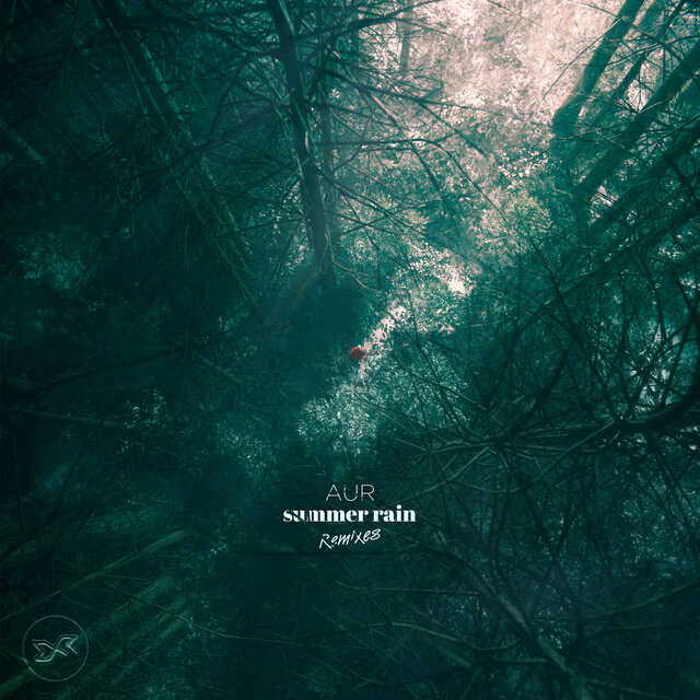 Summer Rain (Remixes)